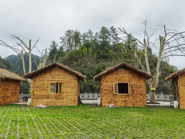 /uploads/image/2023/05/05/06034f6c5178ec7a6220a511cb179e57.jpg W020230427323192021992.jpg