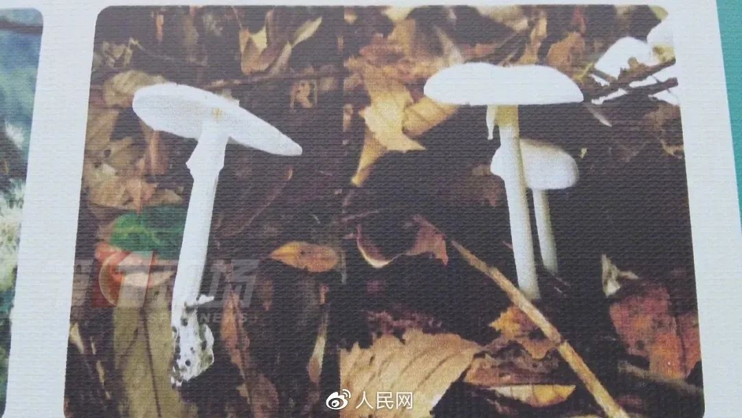 /uploads/image/2023/05/15/59b3e9067e1428988dc3187e0fb39ab0.jpg W020230510332399323950.jpg