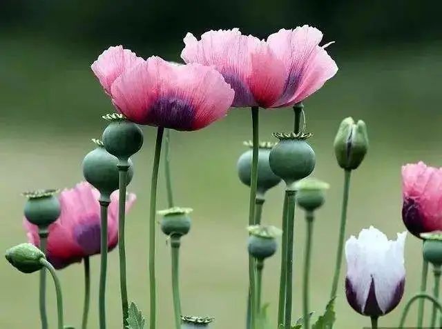 /uploads/image/2023/05/15/8f8ab328ca56ead9c4ae265c6f57aad4.jpg W020230510332402930534.jpg