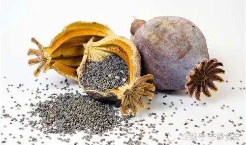 /uploads/image/2023/05/15/a80b4475c8acd6640eb243dfb2824075.jpg W020230510332404050934.jpg