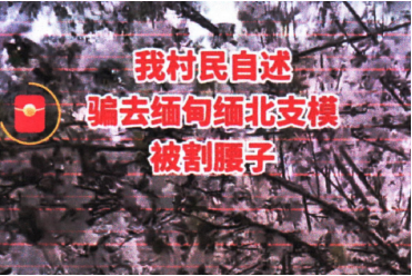 /uploads/image/2023/05/15/cbde0721335028899451f0766c5987cc.png W020230511562980604326.png